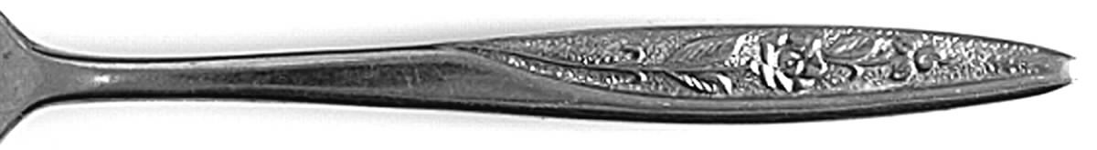 Margarita (Stainless) Teaspoon by National Stainless-1