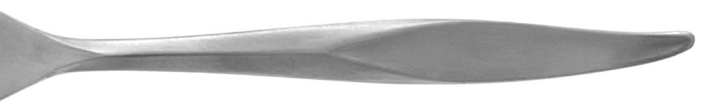 Montego (Stainless) Fork by National Stainless-1