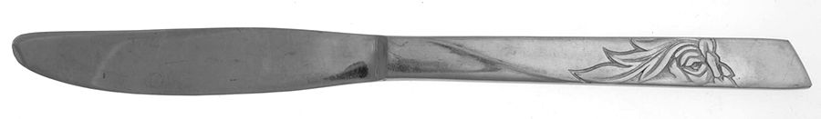 NST12 (STAINLESS) Modern Solid Knife by National Stainless-1
