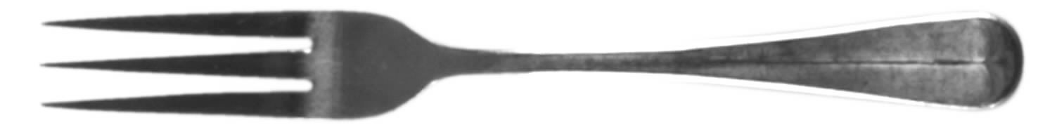 NST14 (Stainless) Fork by National Stainless-1