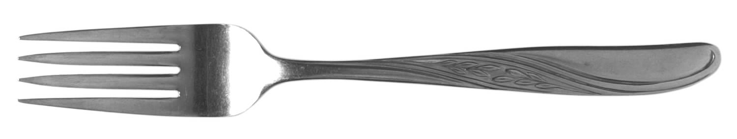 NST17 (STAINLESS) Fork by National Stainless-1