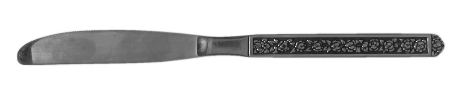 NST18 (STAINLESS) Modern Solid Knife by National Stainless-1