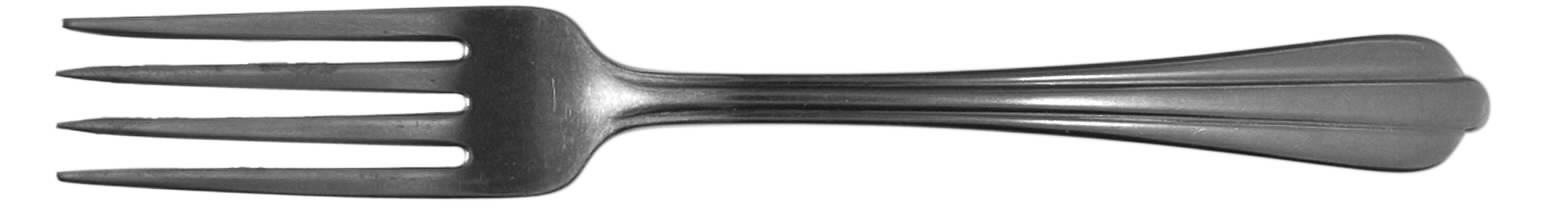 NST23 (Stainless) Fork by National Stainless-1