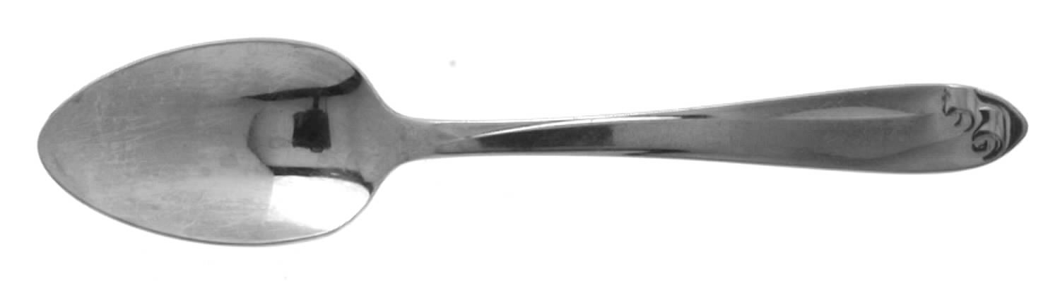 NST31 (Stainless) Teaspoon by National Stainless-1