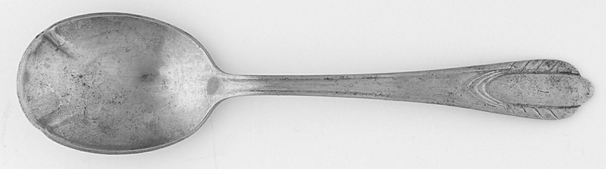 NST42 (Stainless) Sugar Spoon by National Stainless-1