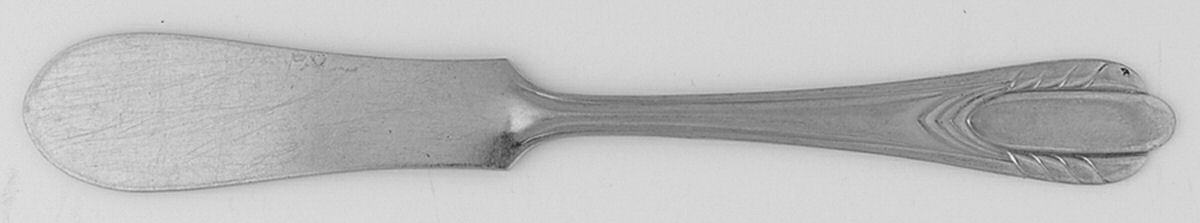 NST42 (Stainless) Flat Handle Butter Spreader by National Stainless-1