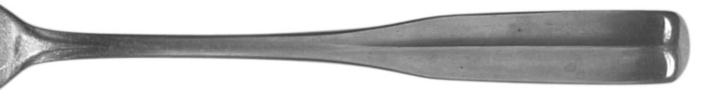 Chestertown (Stainless) Fork by National Stainless-1