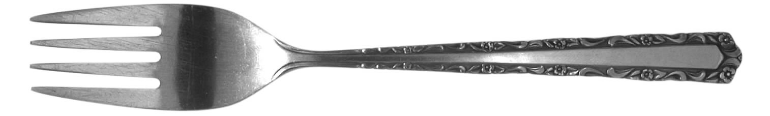 NST46 (STAINLESS) Fork by National Stainless-1