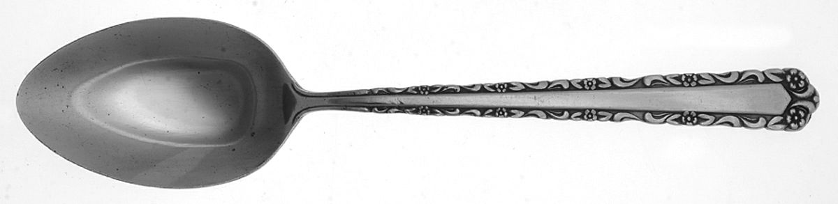 NST46 (STAINLESS) Tablespoon (Serving Spoon) by National Stainless-1