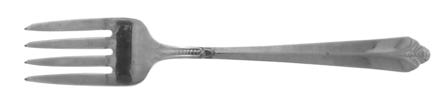 NST48 (STAINLESS) Individual Salad Fork by National Stainless-1