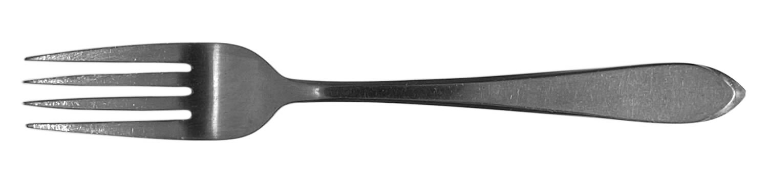 NST51 (Stainless) Fork by National Stainless-1