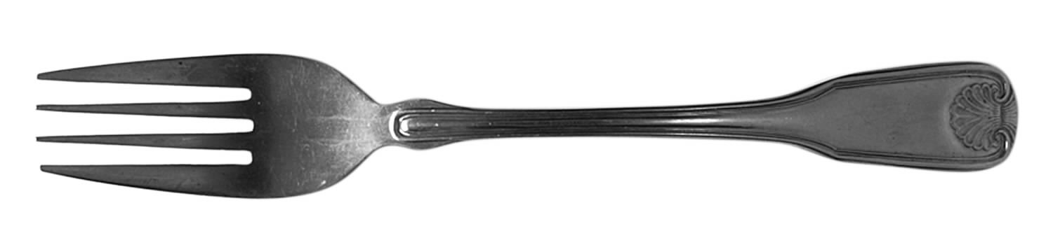 NST61 (Stainless) Fork by National Stainless-1