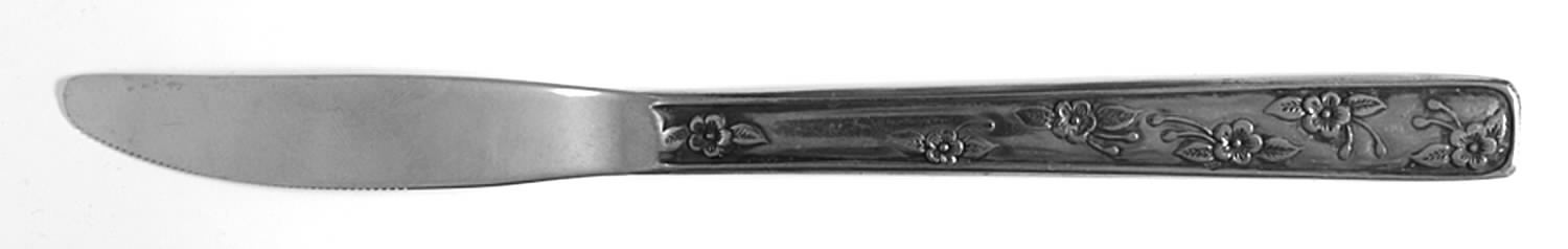 NST62 (Stainless) Modern Solid Knife by National Stainless-1
