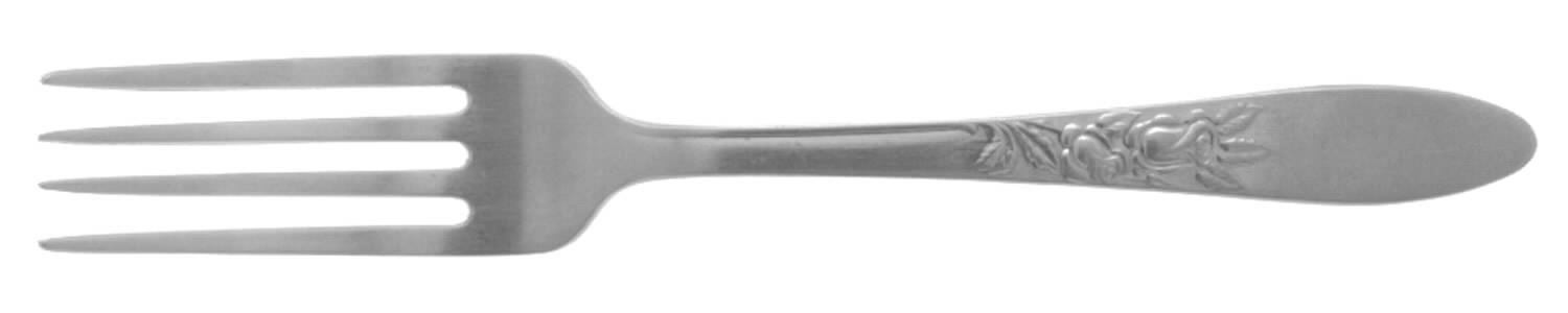 NST68 (Stainless) Fork by National Stainless-1