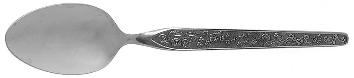 Sevita (Stainless) Tablespoon (Serving Spoon) by National Stainless-1
