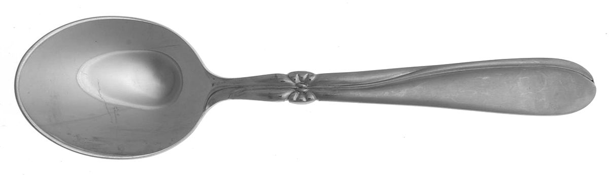 Taffeta (Stainless) Tablespoon (Serving Spoon) by Nasco-1