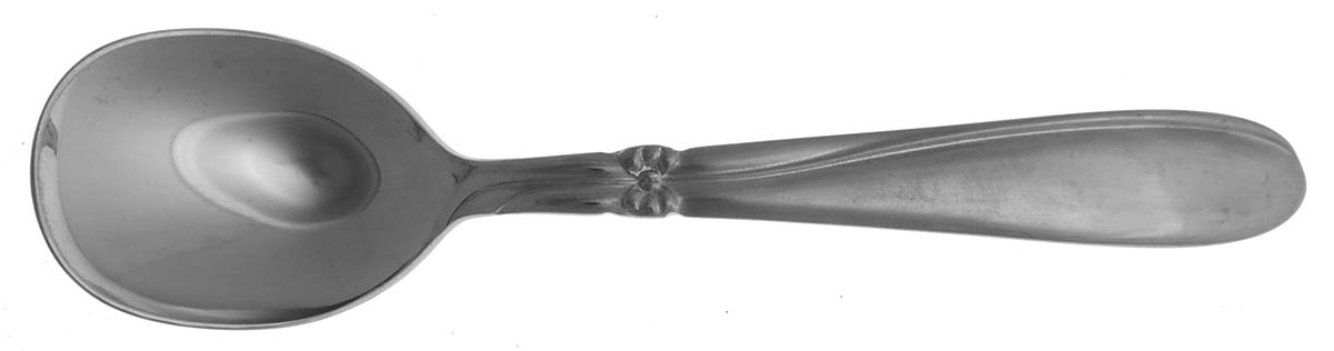 Taffeta (Stainless) Sugar Spoon by Nasco-1