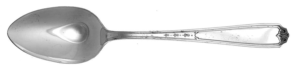 Nineteen (Silverplate) Tablespoon (Serving Spoon) by National Silver Co-1