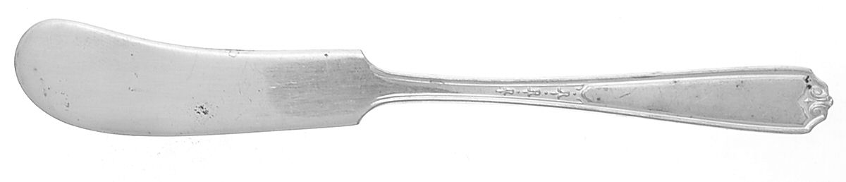 Nineteen (Silverplate) Flat Handle Butter Spreader by National Silver Co-1