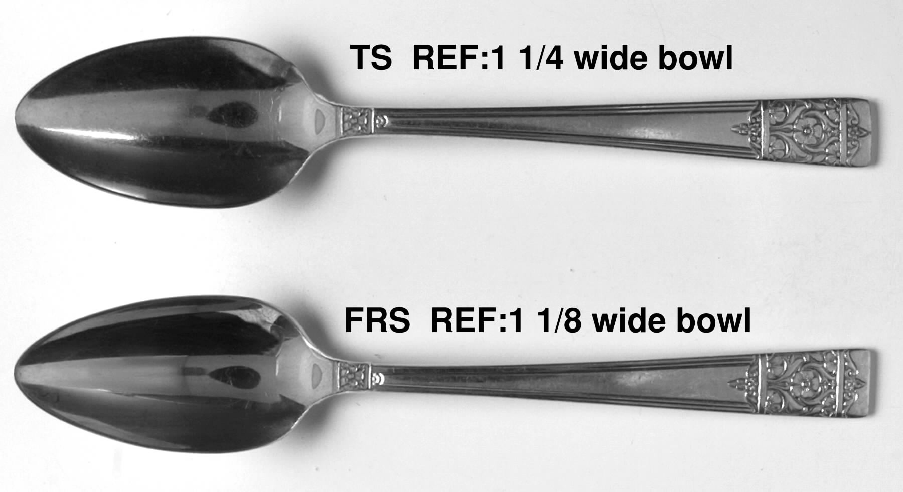 Inauguration (Silverplate, Floral, 1948) Teaspoon by National Silver Co-1