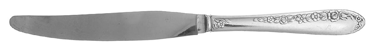Fleur (Silverplate) Modern Hollow Knife by National Silver Co-1