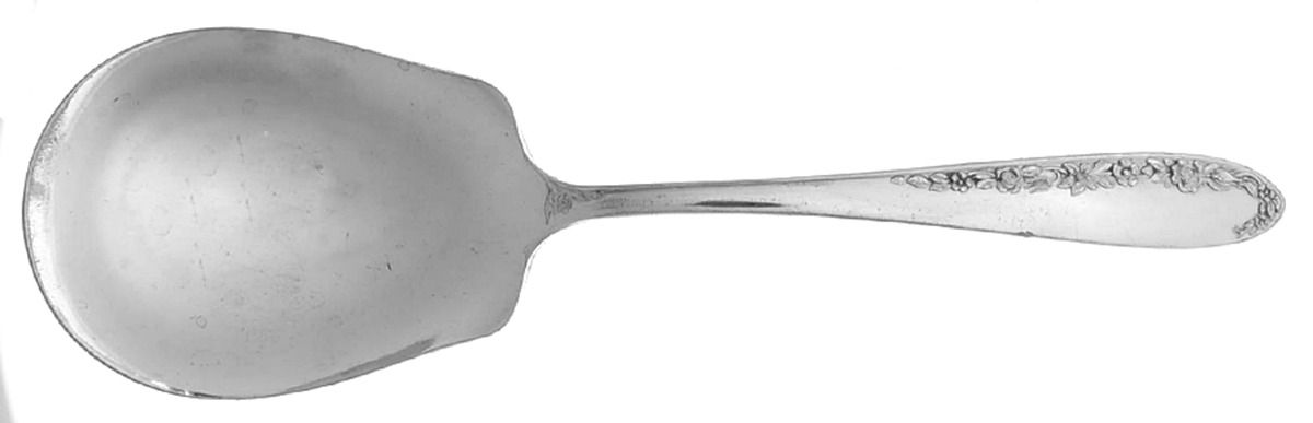 Fleur (Silverplate) Solid Smooth Casserole Spoon by National Silver Co-1