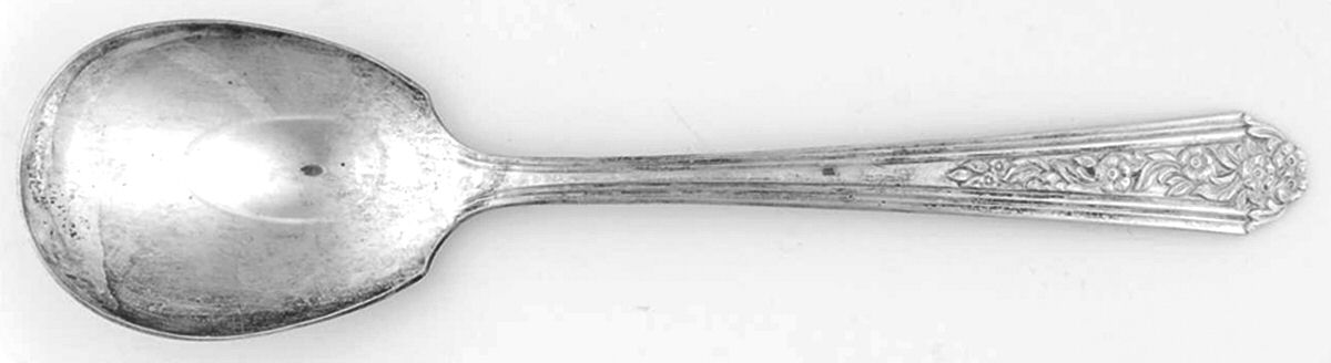 Viceroy Two (Silverplate) Sugar Spoon by National Silver Co-1