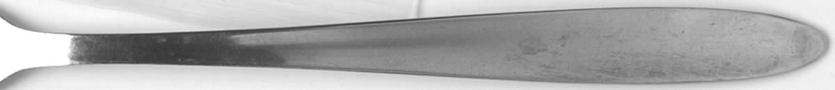 NST71 (Stainless) Cocktail/Seafood Fork by National Stainless-1