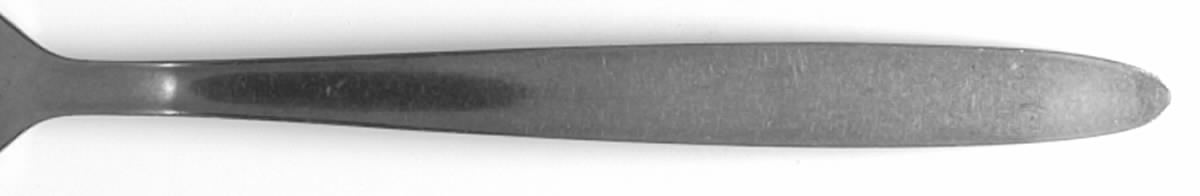 NST71 (Stainless) Fork by National Stainless-1