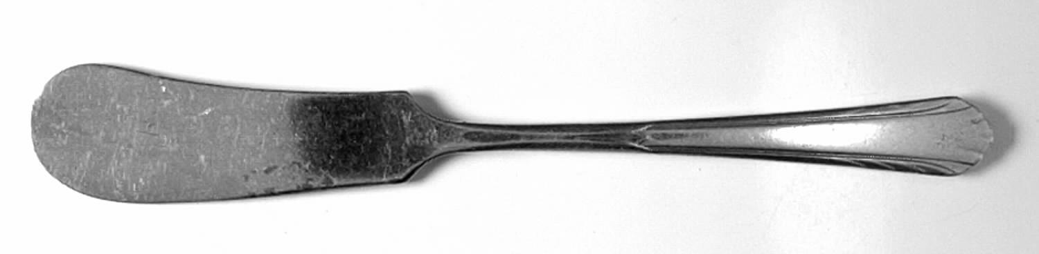 NTS16 (Silverplate) Flat Handle Butter Spreader by National Silver Co-1
