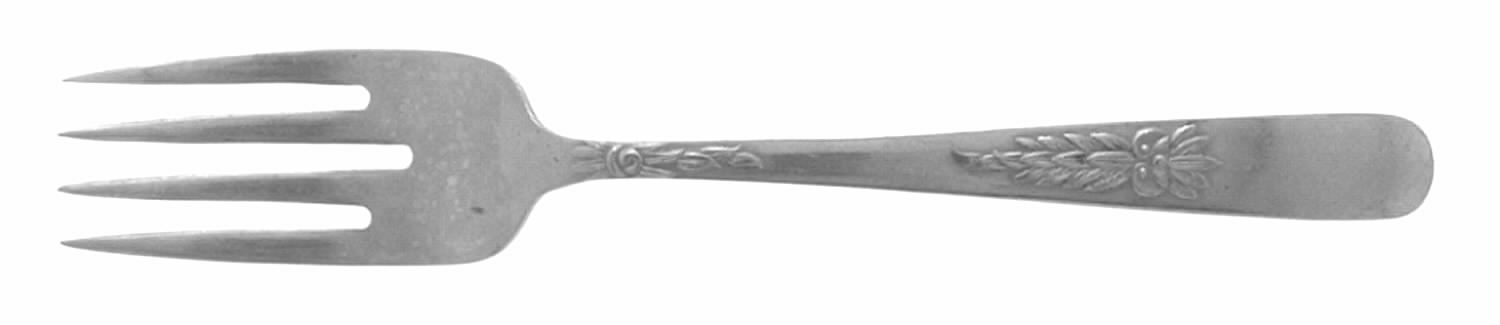 NST76 (Stainless) Individual Salad Fork by National Stainless-1