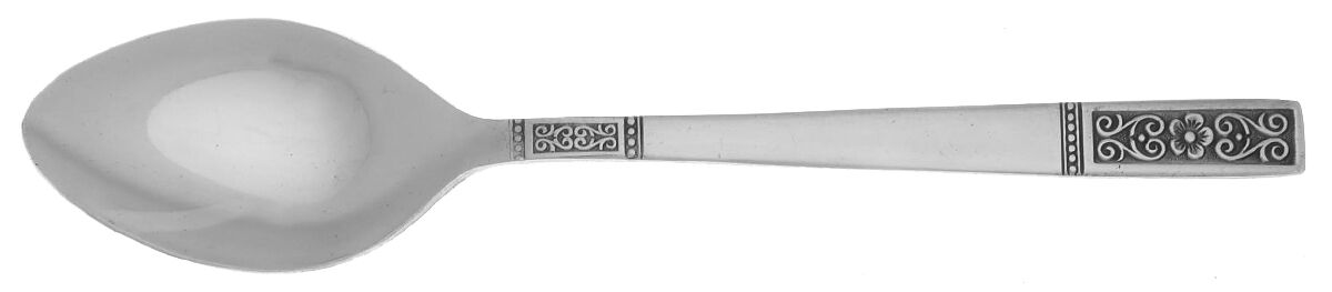 NST79 (Stainless) Teaspoon by National Stainless-1