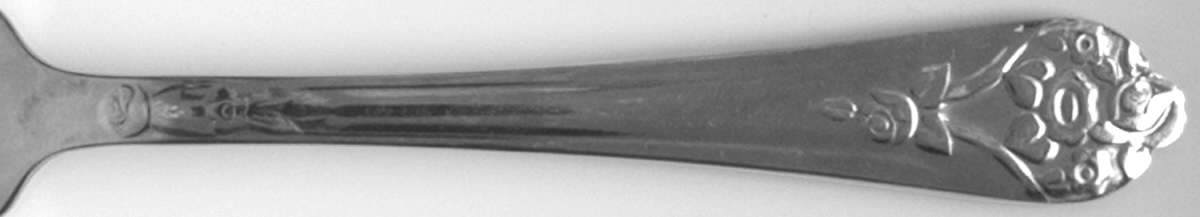 NST83 (Stanless) Fork by National Stainless-1