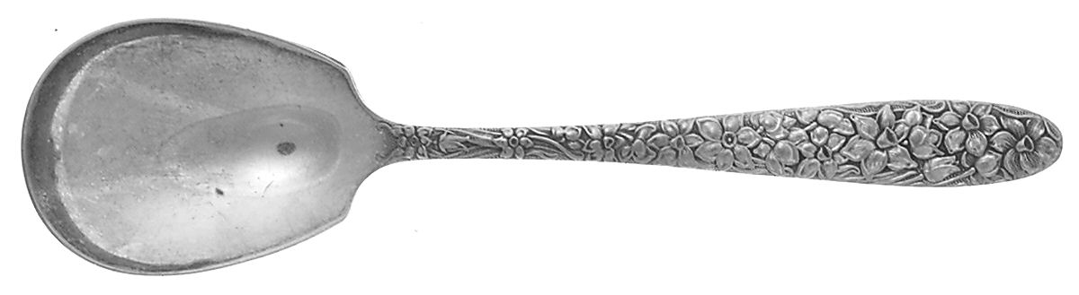 Narcissus (Silverplate) Sugar Spoon by National Silver Co-1