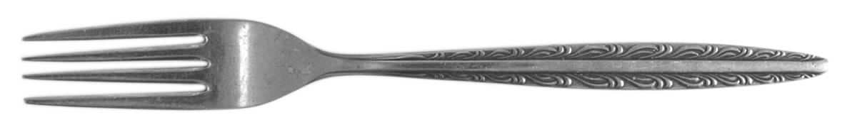 Dunham (Stainless) Fork by National Stainless-1