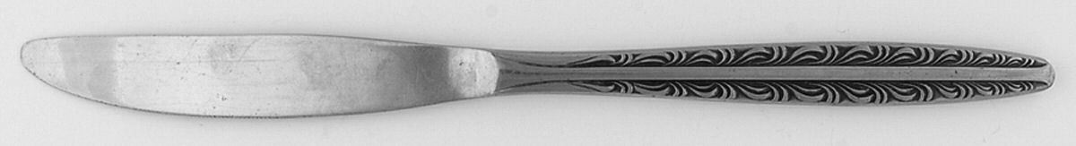 Dunham (Stainless) Modern Solid Knife by National Stainless-1