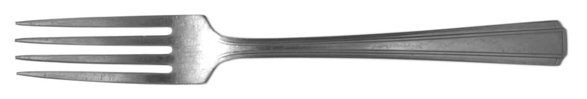 NST84 (STAINLESS) Fork by National Stainless-1