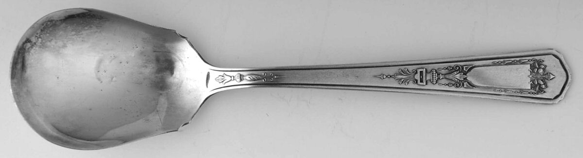NTS30 (Silverplate) Sugar Spoon by National Silver Co-1