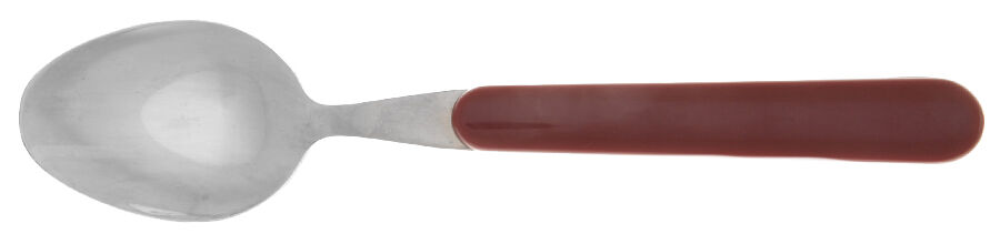 Solid Color Raspberry Place/Oval Soup Spoon by Nancy Calhoun-1