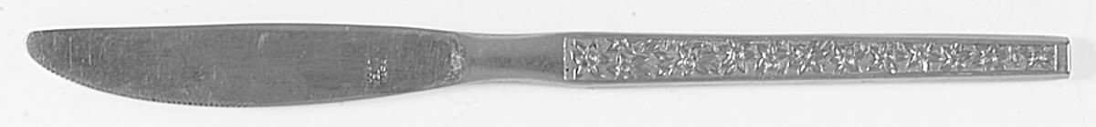 NSS9 (STAINLESS) Modern Solid Knife by Nasco-1