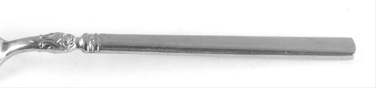 Monarch (Stainless) Fork by National Stainless-1
