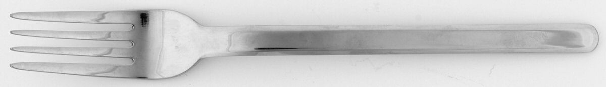 NSF4 (Stainless) Fork by Nest Silver-1