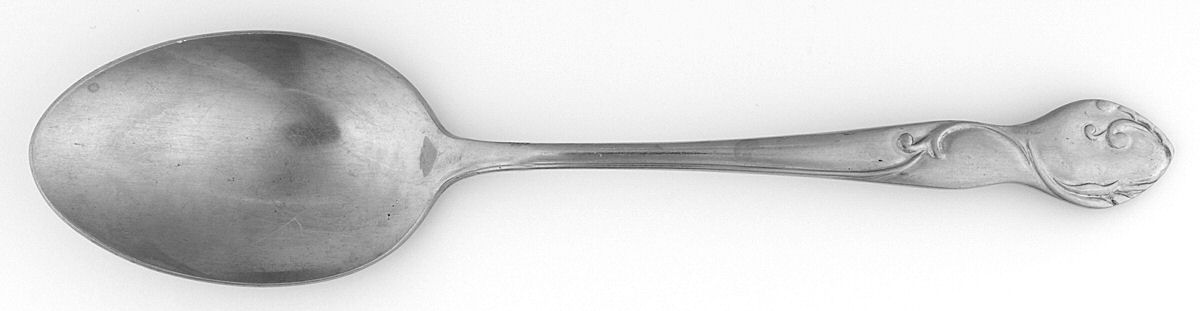 Parisienne (Stainless) Tablespoon (Serving Spoon) by National Stainless-1