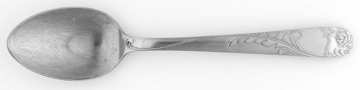 NST105 (Stainless) Teaspoon by National Stainless-1