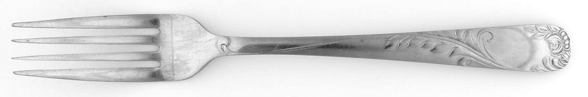 NST105 (Stainless) Fork by National Stainless-1