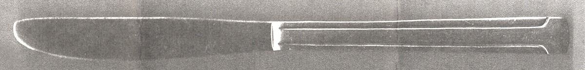 NDGNDG2 (Stainless) Modern Solid Knife by Next Day Gourmet-1