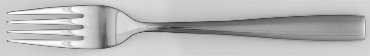 Placid (Stainless) Fork by Nicole Miller-1