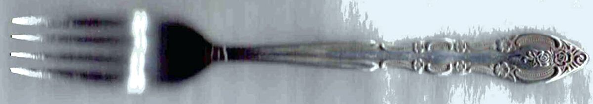 NST106 (Stainless, Japan) Fork by National Stainless-1