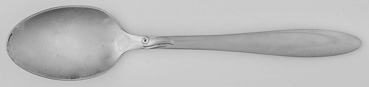 NST108 (Stainless) Teaspoon by National Stainless-1