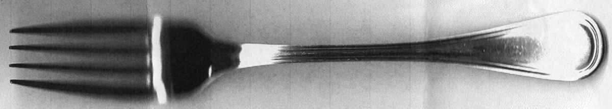 NES3 (Stainless) Fork by New Traditions-1